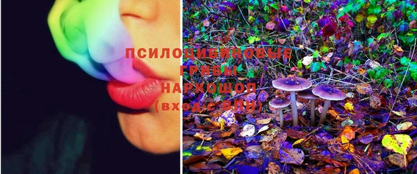 хмурый Абинск