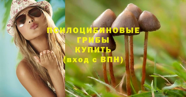 хмурый Абинск