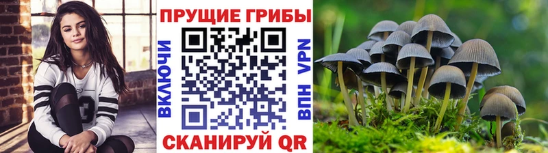 Псилоцибиновые грибы ЛСД Чегем