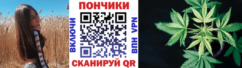 наркотики  Чегем  mega tor  Марихуана индика 